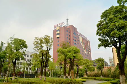 借卵试管婴儿移植需要多长时间？胚胎需要多长时间才能着床？