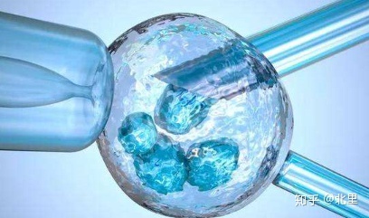 2022年1月迎接我的小王子湖北恩施借卵试管婴儿的成功率和费用是多少？