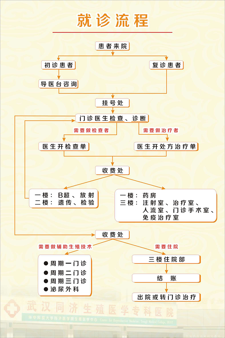 你需要做的第一件事就是做供卵试管婴儿。