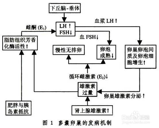 我是体制内的人，因为身体原因需要做供卵助孕自怀试管，我怎么跟男领导说才能让他批准我休长期病假？
