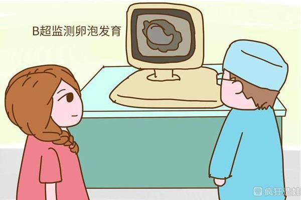 试管婴儿囊胚级别