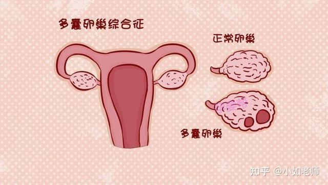 2023武汉省三代武汉辅助试管代怀网医院大全,仅1家,私立？公立？