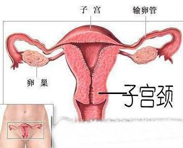 做对这2项,武汉供卵自怀医院成功率提高45%以上